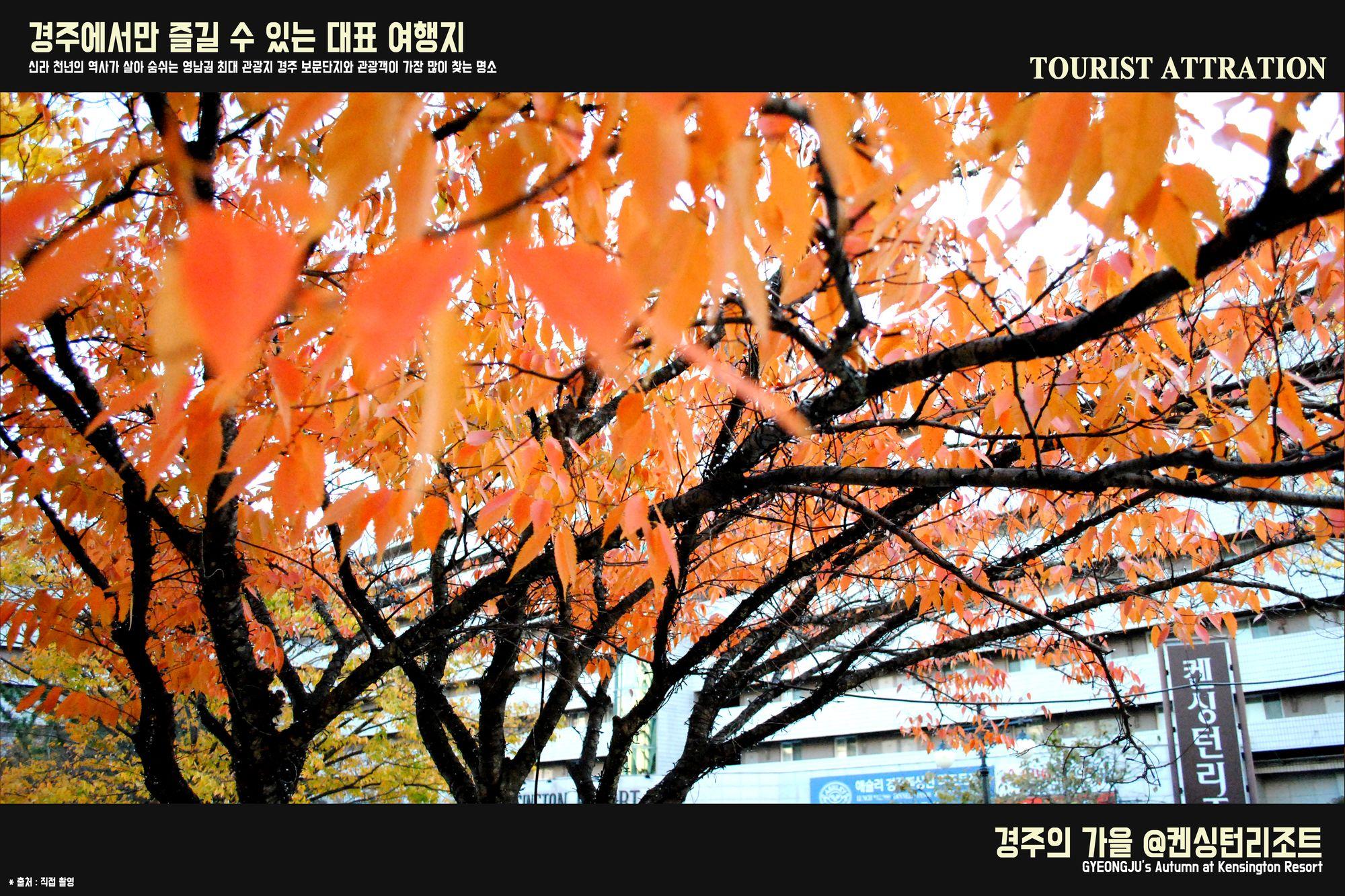 Kensington Resort Gyeongju Esterno foto