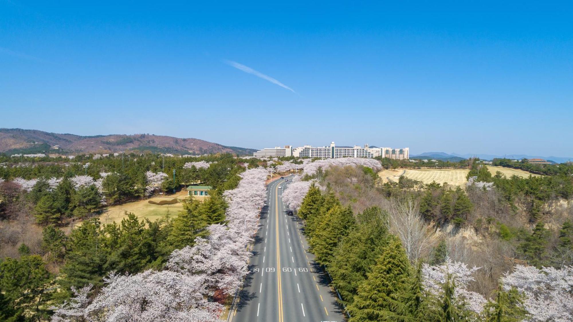 Kensington Resort Gyeongju Esterno foto